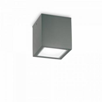Downlight Techo Cristal y Metal Antracita IP54 1 Bombilla 16cm