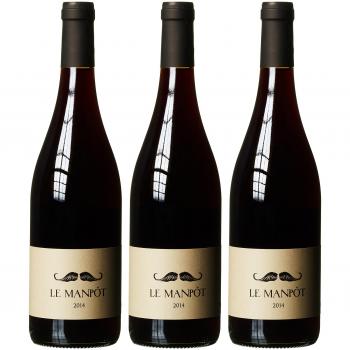 Vino Tinto Manpot 2021 - Dominio Bassac