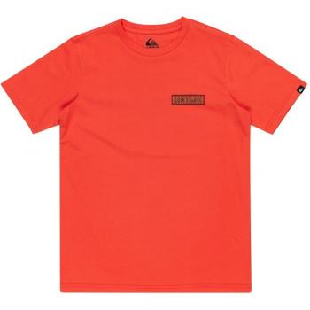 Quiksilver Camiseta de niños Marooned