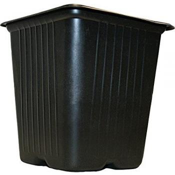 Macetero Cuadrado de Plástico Vilmorin Negro - Pack de 15, 9 cm