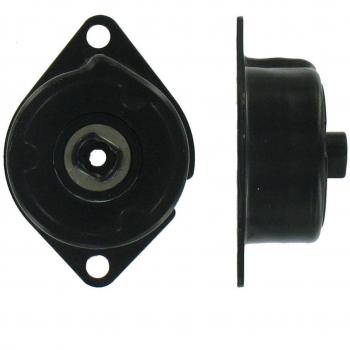 Polea Correa Multiv Skf Vkm 31046