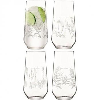 LSA Jardines de Kew de hierbas grabados con juego de 4vasos de cristal con diseño de flores