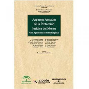 Aspectos actuales de la protección jurídica del menor: Una aproximación interdisciplinar
