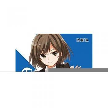 Haruhi Suzumiya 17