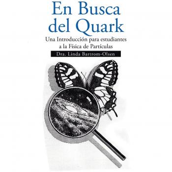 En Busca del Quark: Introducción a la Física de Partículas para Estudiantes