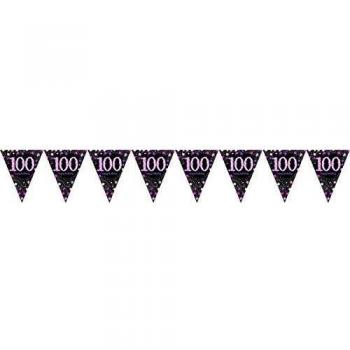 Amscan International – 9901764 4 m x 20 cm rosa celebración 100º plástico banderín banderines