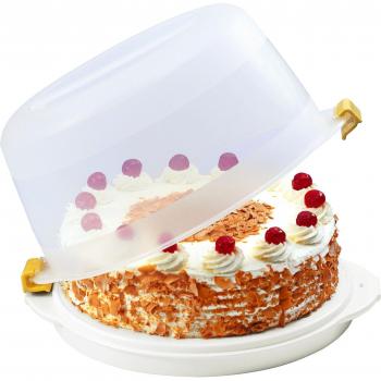 Dr. Oetker 1486 Cool Box - Recipiente con tapa para transportar tartas