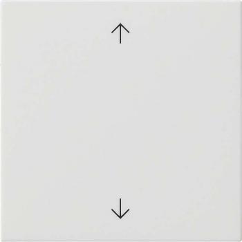 Gira System 3000 Control Element with Arrow Symbols, Glossy Pure White (536103)