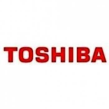 Toshiba LCD 13.3 Wqhd, P000571810