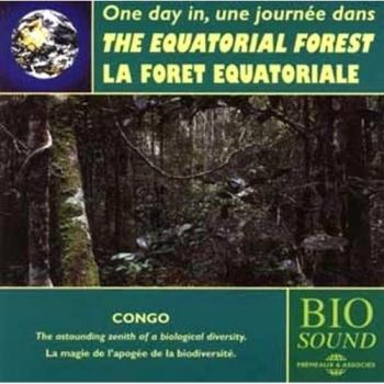 One day in the Equatorial Rainforest