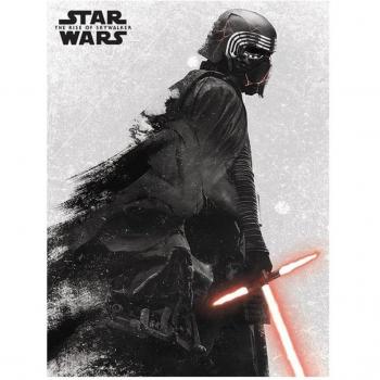 Pyramid Lienzo Star Wars Episodio 9 30x40cm
