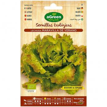 Semillas Ecológicas de Lechuga Maravilla Agreen