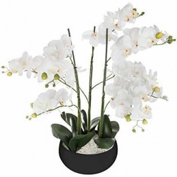 Olla Cerámica Atmosphera Orquídea Negro H65
