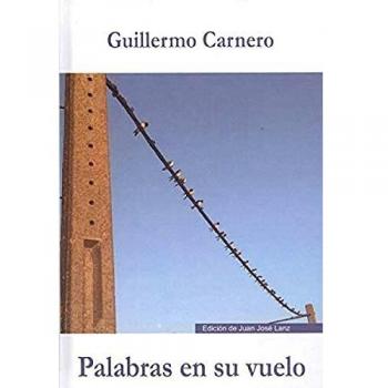 Palabras En Su vuelo: 15