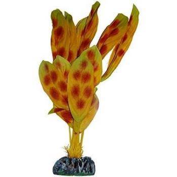 ICA AP1187 Anubias Moteada de Aquatic Plants Seda