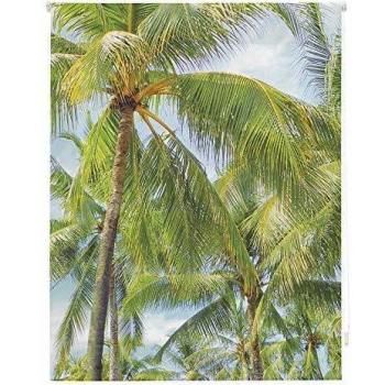 Homeflex Storalia - Estor Digital Salon Miami - Enrollable - 100X250 cm - Disponible en Varias Medidas