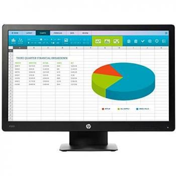 Monitor Profesional HP ProDisplay P203 de 20 pulgadas HD+ LED Negro