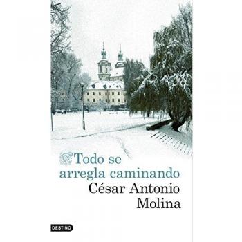 Todo se arregla caminando - César Antonio Molina