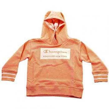 Champion Hooded Sweatshirt