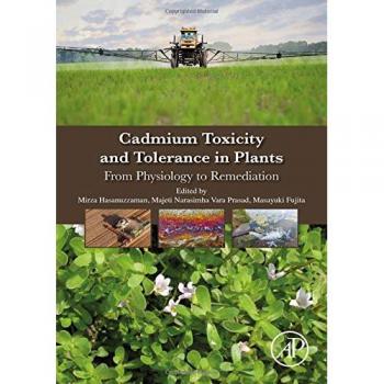 Cadmium Toxicity and Tolerance in Plants: From Physiology to Remediation