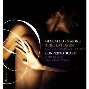 Gesualdo - Maione : Tribulationem