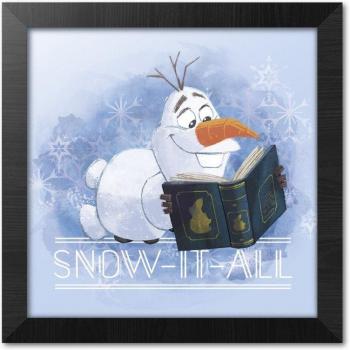 Marco decorativo Disney Frozen Snow It All 30x30cm