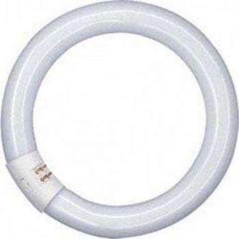 Osram fl - Lámpara 32w/865 cg10q flh1