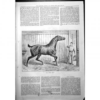 Druck Ah Würden Sie das Pferd, das, Um Vorbereiten den Mann Wegzulaufen Stabil ist, der 1887 579J778 Einzieht