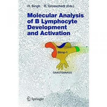 MOLECULAR ANALYSIS OF B LYMPHOCYTE DEVELOPMENT AND ACTIVATION