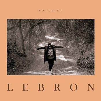 Lebron vinilo