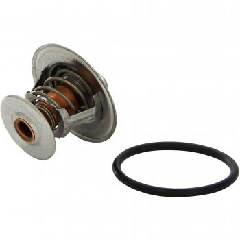 Triscan 8620 2391 Termostato, refrigerante