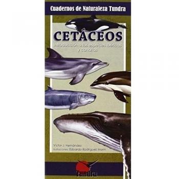 Cetáceos. Introducción a las especies ibéricas y canarias
