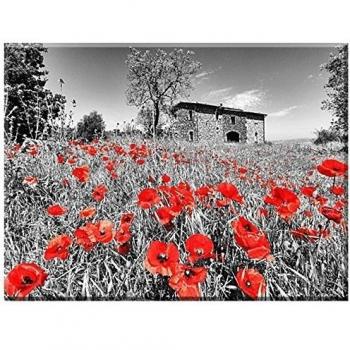 Campo de amapolas, Orvieto, Italia, Lienzo imagen montado de Günter gräfe Hain, tamaño 100 cm x 75 cm, impresión digital sobre lienzo impreso, Bastidor, fabricación único a elección del Cliente, Paisaje Imagen, amapolas, pared imagen, Bastidor im