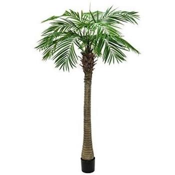 artplants.de Palmera fénix con 10 frondas, 210cm - árbol Artificial - Planta sintética