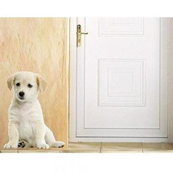 Vinilo adhesivo no.93 Sweet White Dog, Größe:145cm x 115cm