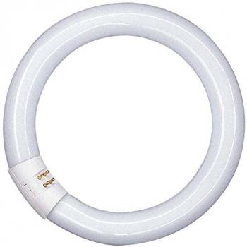 Osram LUMILUX T9 C - Lámpara fluorescente, G10QL 40 W/865 C