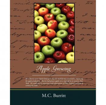 Apple Cultivation Guide: Comprehensive Techniques for Successful Orchard Management