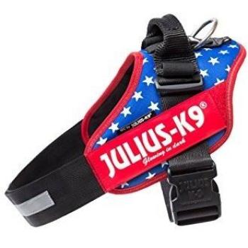 Arnés para Perros JULIUS-K9 IDC Power Color Bandera Americana TG 3