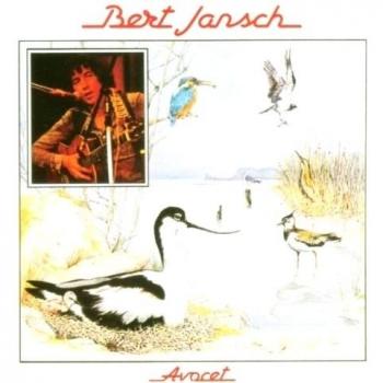 Avocet