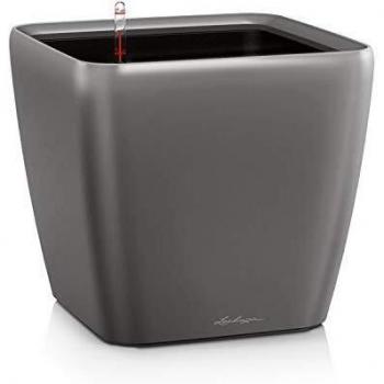 Lechuza Maceta, Quadro Premium