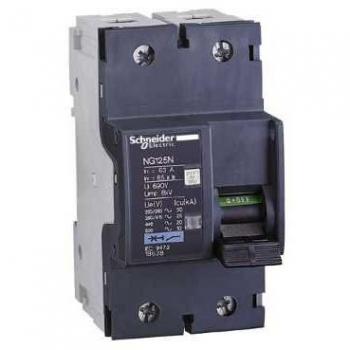 Schneider Electric 18621 NG125N Interruptor Automático Magnetotérmico, 2P, 10A, Curva C, 81mm x 54mm x 103mm