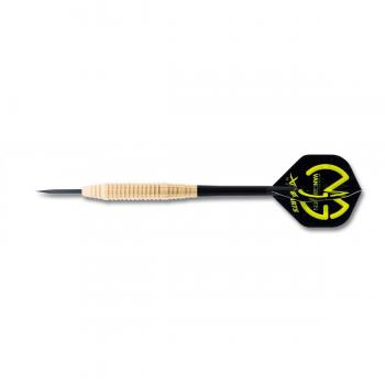 XQ MAX (Adultos Michael Van Gerwen Brass Steel Dardos, Green, 1