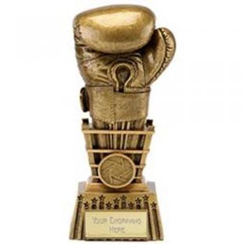 6 Focus boxeo trofeo premio con guantes de boxeo incluye grabado hasta 30 letras A1650 A