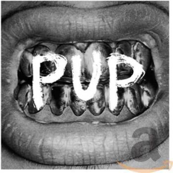 Pup