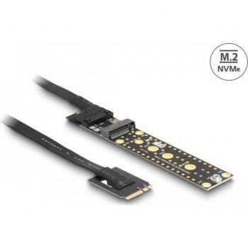 Tarjeta Riser Delock NVMe M.2 Key A+E a M.2 Key M con cable de 20 cm