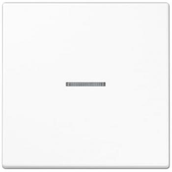 Jung eNet Wireless Control Switch Standard Alpine White