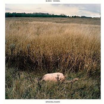 Brokenlegged [VINYL]