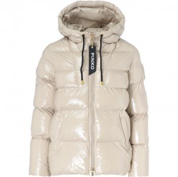 Pinko Women's eleodoro Down Jacket in Beige | Size 38 | 101597A11KD05