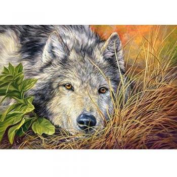 Castorland Pure Soul 500-Piece Puzzle