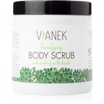 Exfoliante Corporal Energizante y Desintoxicante Vianek 250 ml
